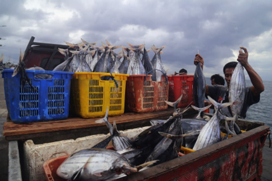 Intensively Aiming at the Fisheries Export Market