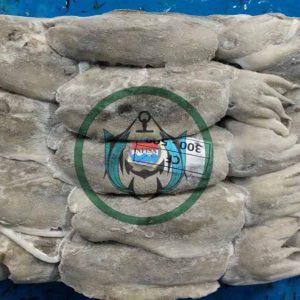 CUTTLEFISH ( SOTONG ) land Frozen